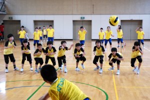 vs フェニックス