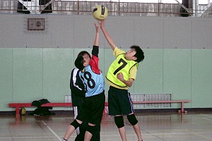 フェニックス戦