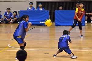 元外野たける